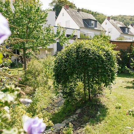 Ferienwohnung Am Breyer Talbach ภายนอก รูปภาพ