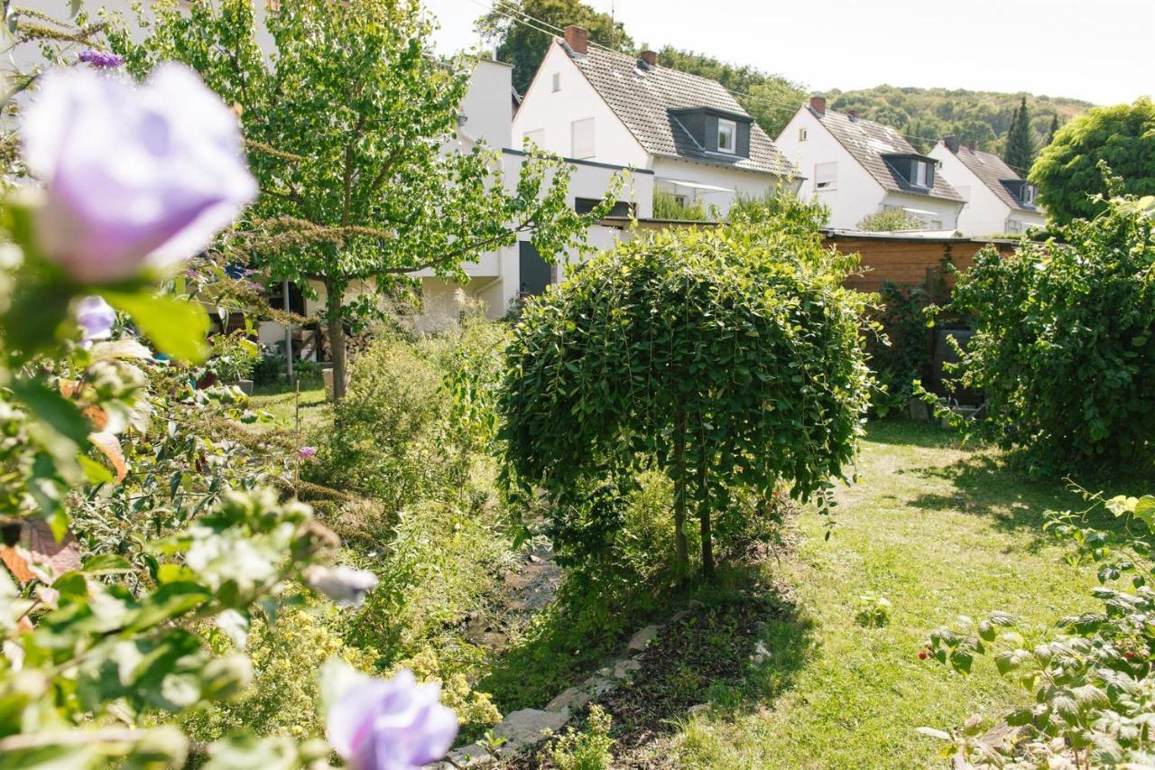 Ferienwohnung Am Breyer Talbach ภายนอก รูปภาพ